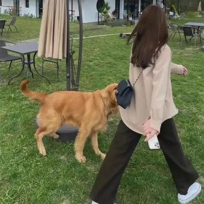 儿童法案