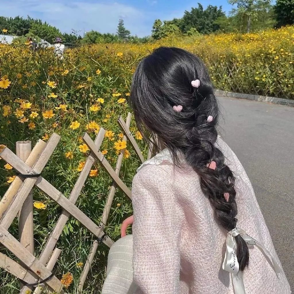 追梦小海豚